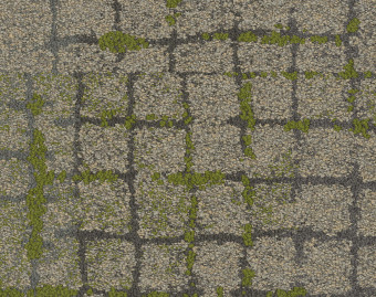[300111132_2] Moss In Stone - 105564 Granite Edge